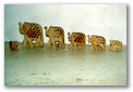 pict3531.jpg