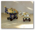 pict0060.jpg