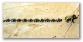 pict0097.jpg