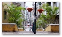 dsc08246.jpg