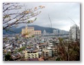 dsc08871.jpg