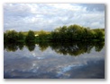 dsc00104.jpg